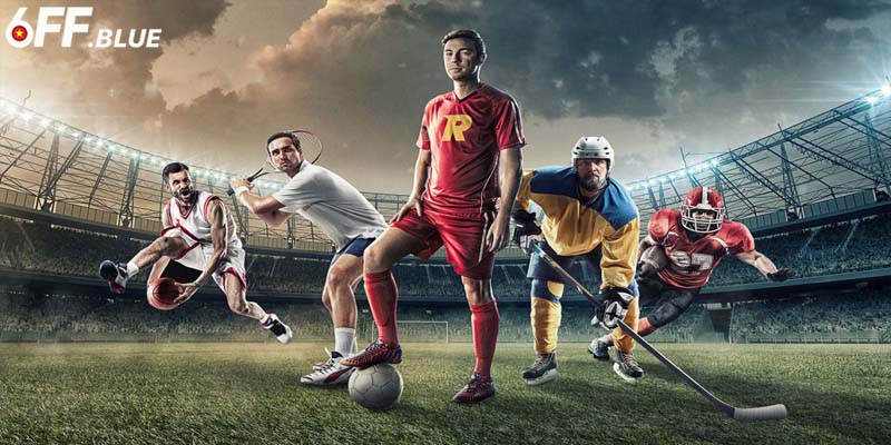 Chơi thể thao 6FF thường gặp các vấn đề gì